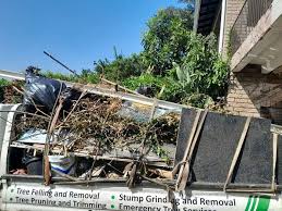Best Recycling Services for Junk  in Tripoli, IA
