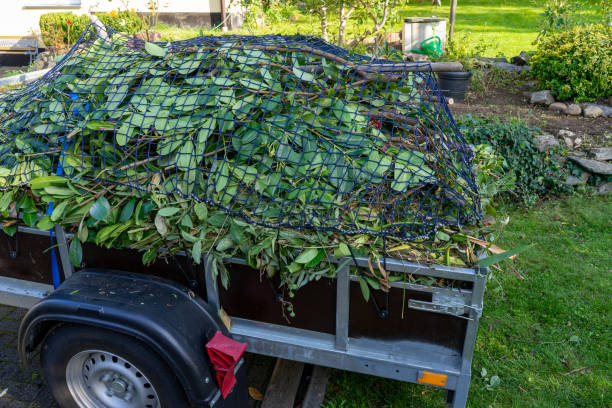  Tripoli, IA Junk Removal Services Pros